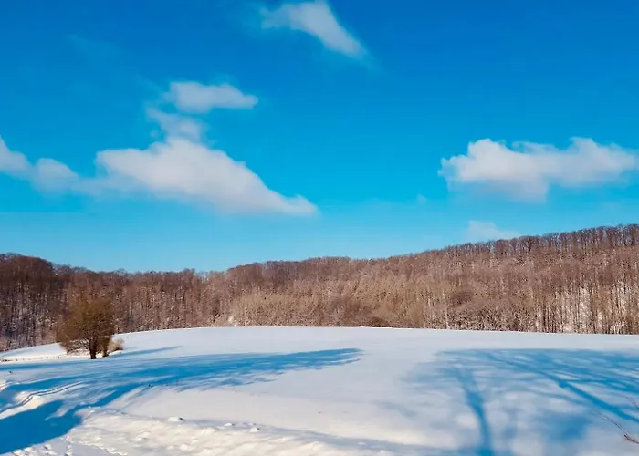 Extertal-ferienpark - Premium-ferienhaus Sonnenschein #56a